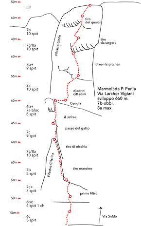 Първо повторение на “Larcher-Viggiani”
