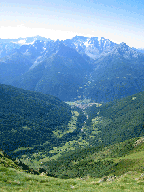 На 15 март т. г. в Биологическия факултет