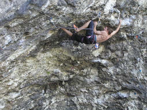 Възход и падение