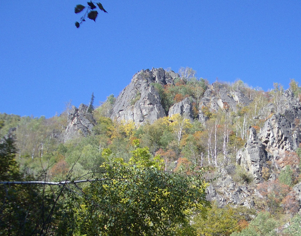 Нови и непопулярни стари турове на Комините