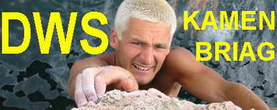 Invitation for DWS meet