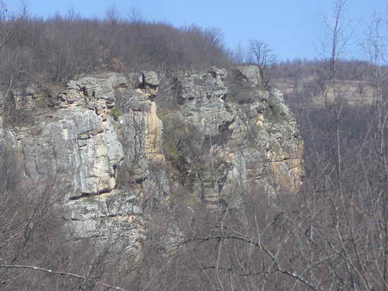 Добре дошли на Боженица!