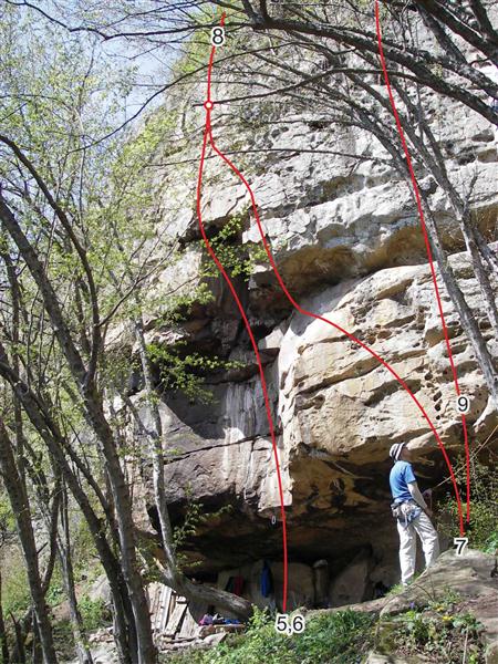 Нови турове на Боженица