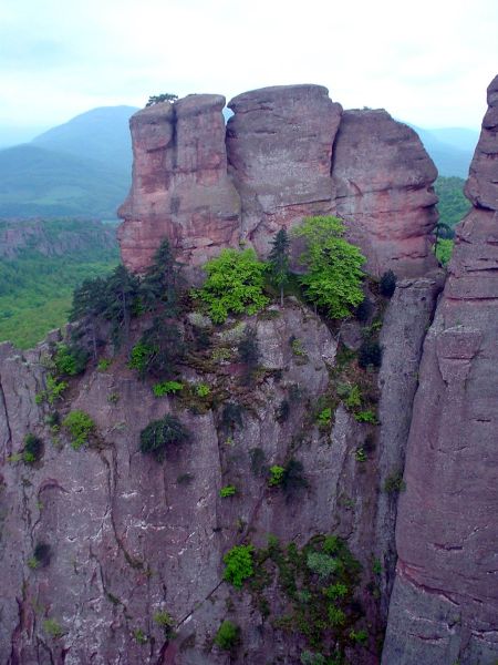 Инвазия на катерачи от Елба