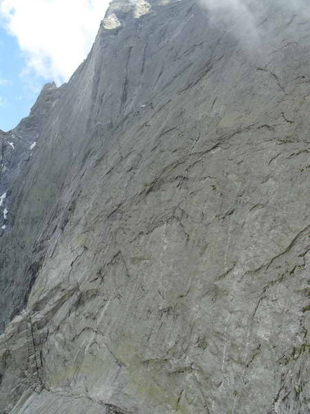 Френдове и приятели