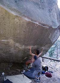 Премиера по “Dreamtime” в Крешиано