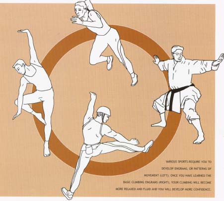 Скално и стенно катерене - Техники на катерене