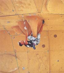 Скално и стенно катерене - Как да тренираме?