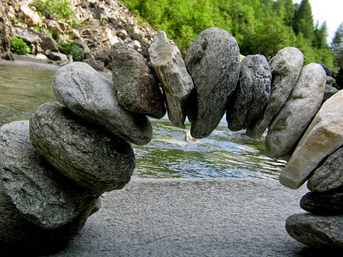 Почистване на “Омагьосаната гора”