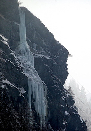 “Генно модифициран организъм” във Вале д’ Аоста