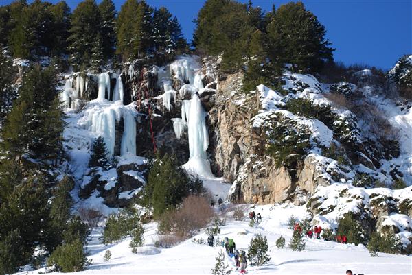 Скакавица - резултати от състезанието 2011 г.