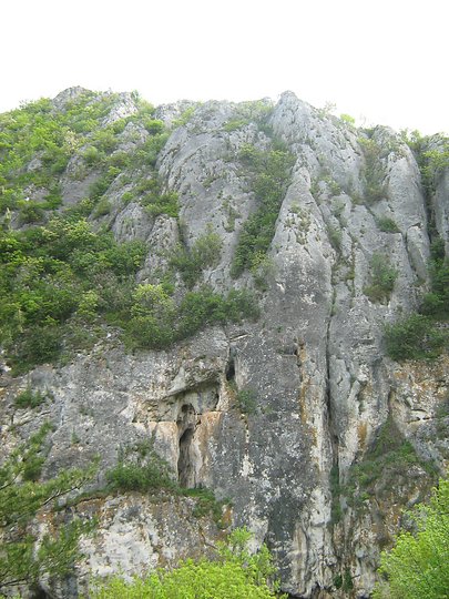 На 19 април т. г. в Биологическия факултет