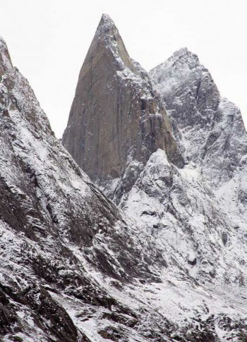 Премиера по Зъбите на акулата