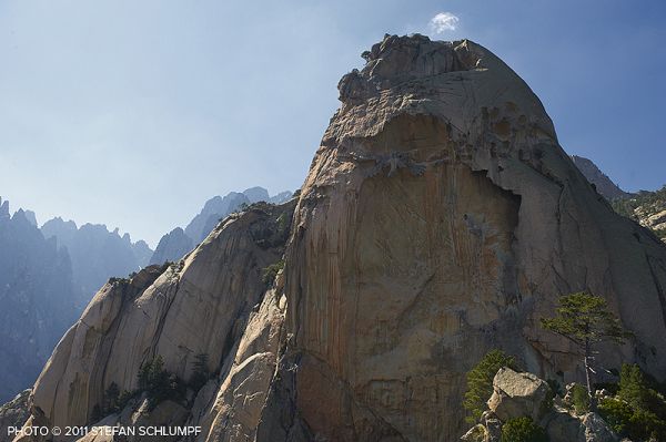 Нина демонстрира всестранност