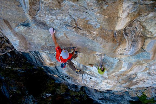 Лама свободно по дълги маршрути в Швейцария
