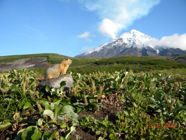 До най-високия връх на Сибир и по-нататък