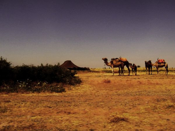 Мароко - различни гледни точки