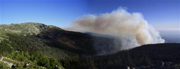 Пожарът на Витоша