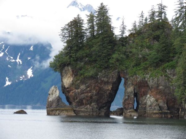 “Дивото зове” – из Аляска с Борислав Димитров 