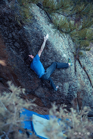 Шеста авторска 8С за Дейв Греъм