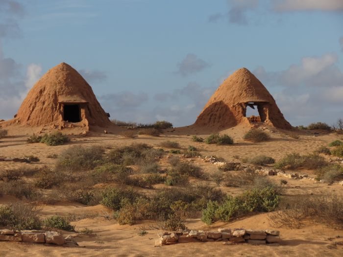 С Борислав Димитров до Западна Сахара и Япония