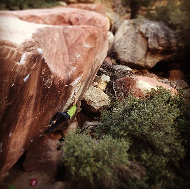 Ново 8С за Уудс и Уеб 