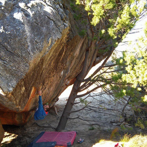 Начо Санчес изкатери “Monkey Wedding” (8C)