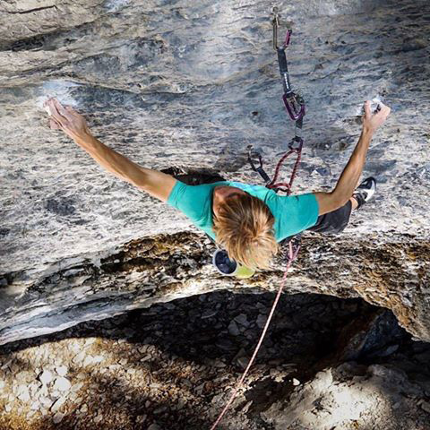 Алекс Мегос се завръща във Франкен