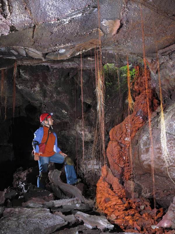 "Хаваите под повърхността"