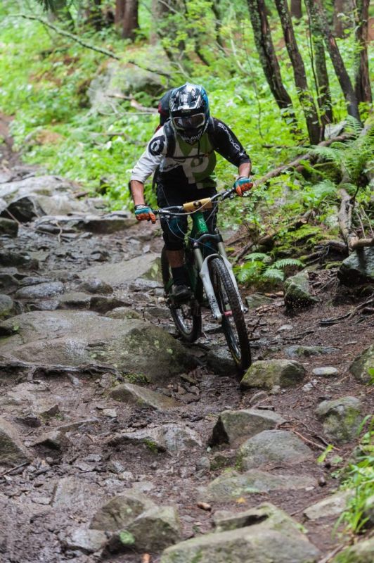 “Oще един естествен страничен ефект от хормона aдреналин. Произход, синтез, доза, последствия. Цената на живота на велосипед” 