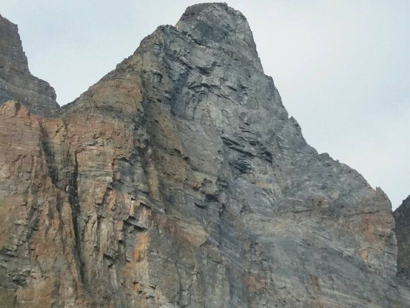 Ветроходно-катерачната експедиция в Гренландия