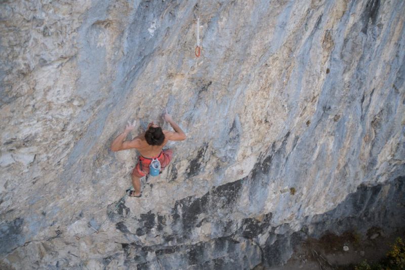 Повторение на “Salamandre” десет години по-късно