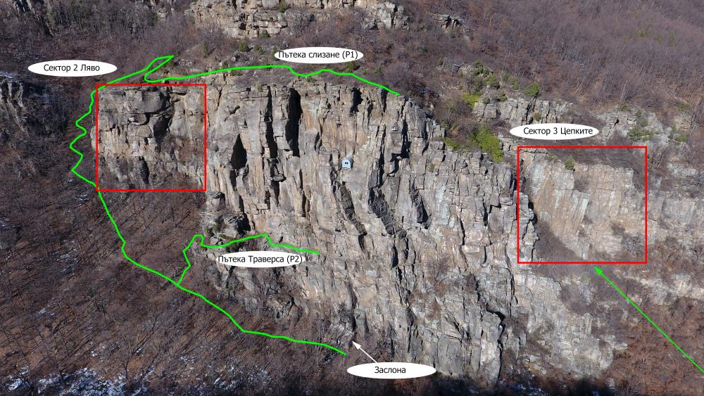 Бряновщица с подновена информация