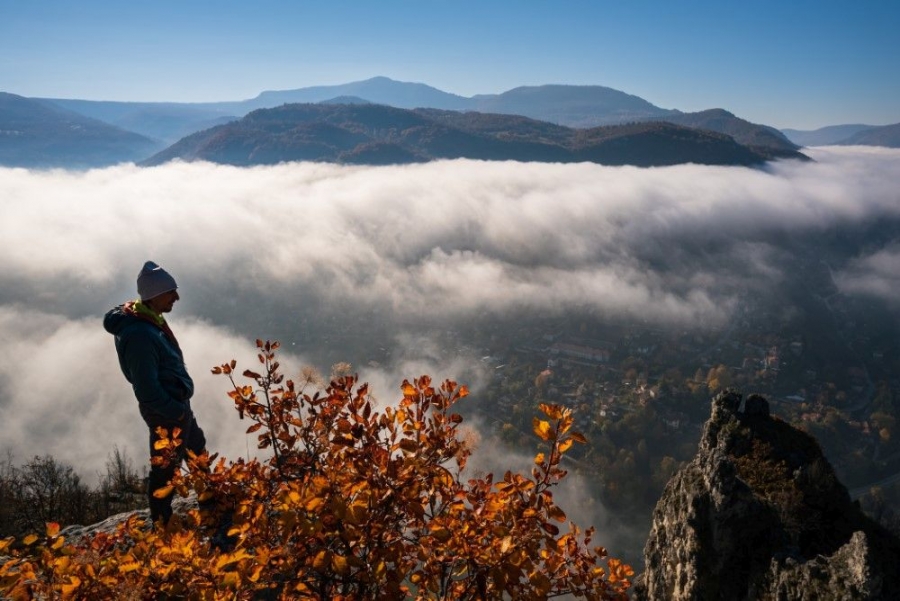 "Паяците от Леко": Симоне Педефери